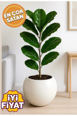 Küre Saksı Modern Dekoratif Salon Plastik Saksı 27 Litre (içsiz)