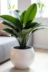 Küre Saksı Modern Dekoratif Salon Plastik Saksı 7,5 Litre (İçsiz)
