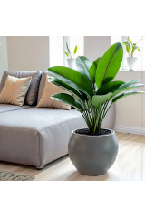 Küre Saksı Modern Dekoratif Plastik Saksı 7,5 Litre (İçsiz)