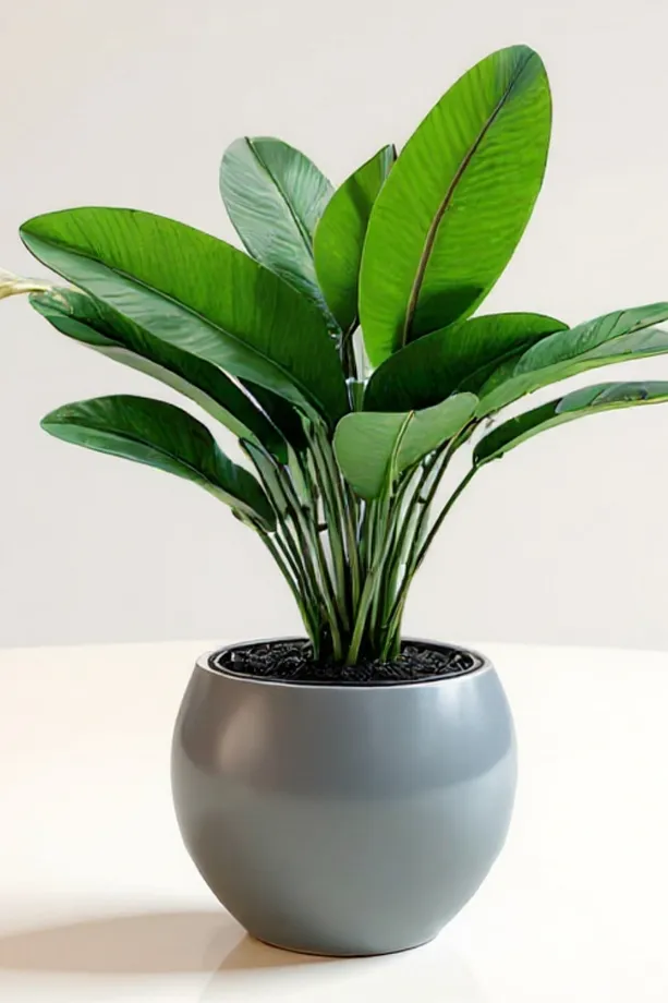 Küre Saksı Modern Dekoratif Plastik Saksı 7,5 Litre (İçsiz)